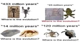 evolution8
