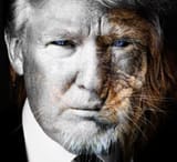 Trump Lion Power