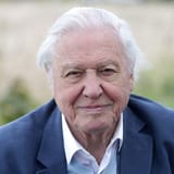 e6462e6d8f3a-david-attenborough-portrait-t-3050357450