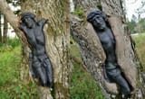 Tree protecting Christ
