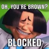 Brown niggers