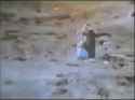 moonshadows21_thumb.jpg
