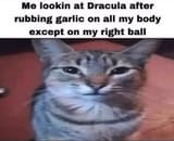 633175c153e59685b5353e237ee801e9