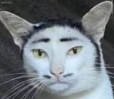 1714594839783187