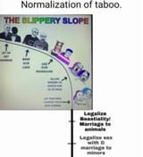 slipery slope of degeneracy fag faggots taboo normalization 