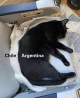 F_cjpwfWQAAJ0rh