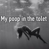 my poop in the toilet 43253242