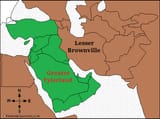 the new middle east