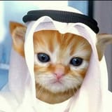 halal