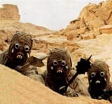 sandniggers