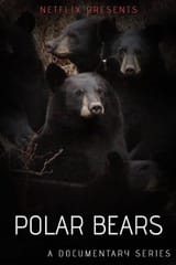polar-bears-netflix-raceswapped