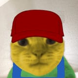 sneedcat