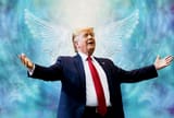 donald-trump-light-worker-0222211