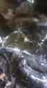 F35 crashed jew (video-converter.com)_thumb.jpg
