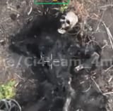 Skelly