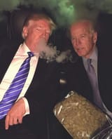 TokenChief