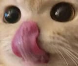 1608878895072