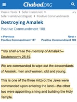 amalek53