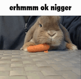 1746281708772543
