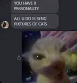 1720571236604268