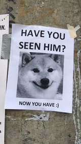 1529862066081m