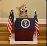 PresidentKot