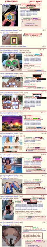 porn333