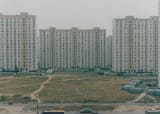 Каменные_джунгли