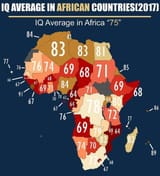 africa iq avgs