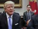 jared kushner and trump
