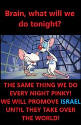 PINKY_AND_BRAIN