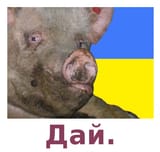 17021539662070