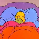 homer sleep