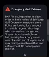 alert