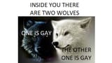It means youre a homo