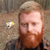 cuck n the woods