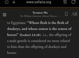 talmud_q_on_race_donkeys_horses