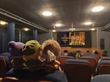 IMG_1352