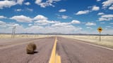 istockphoto-1185537051-640x640