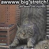 1702518372919403