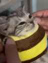 bee kot buzzed to see you_thumb.jpg