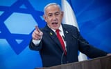 belligerent bibi