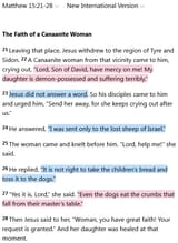 Screenshot 2025-06-14 at 19-41-10 Matthew 15 21-28 NIV - The Faith of a Canaanite Woman - Bible Gateway