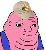 dr0ro2znq9561