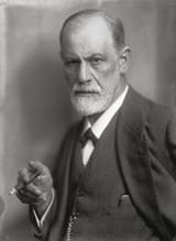 siggi