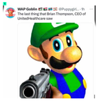 FREE LUIGI