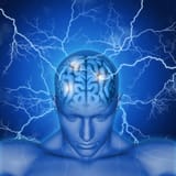 human-brain-with-rays_1048-4743