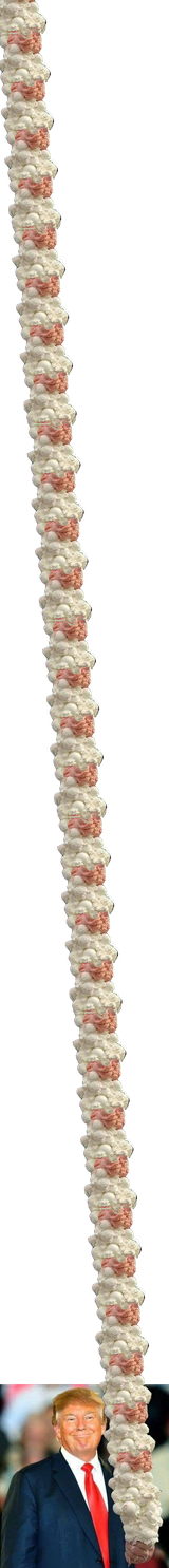 1690063484735649