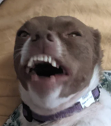 huhuhhu