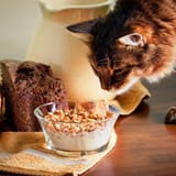 CEREALKOT13